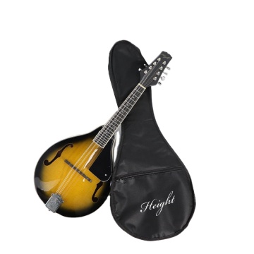 8-String Spruce Mandolin Instrument and Bag