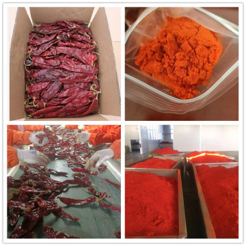 Dehydrated Whole Paprika Cut Chilli