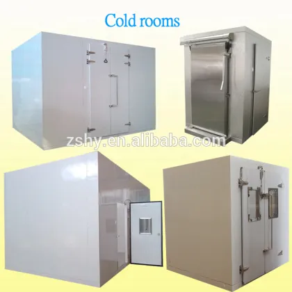 Commercial cooler & freezer cold room