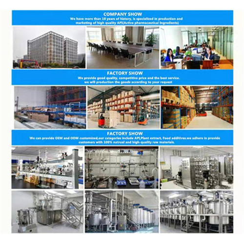 L-Carnitine Price Pure Phylloquinone Powder Vitamin K1 Supplier