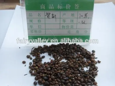 Beautiful Judas Tree Chinese Redbud Bauhinia Flower Tree Seeds For Growing