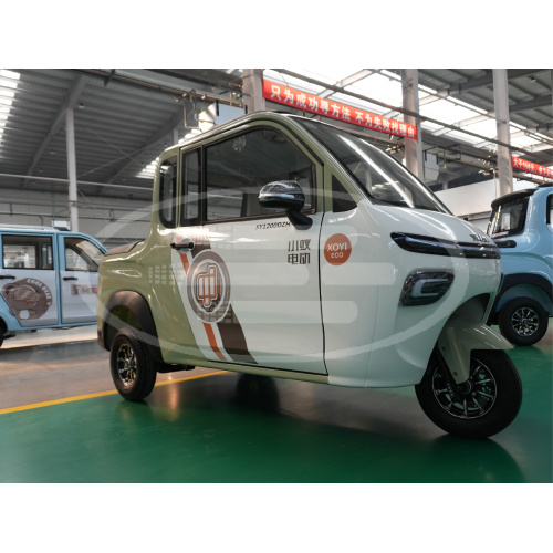 Xe điện chở hàng 2 cửa