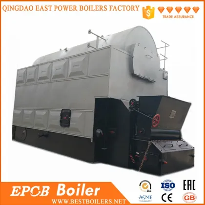 China Combi fuel Solid Fuel 6Ton Palm Shell Boiler