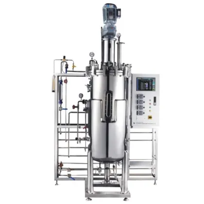China Sell Well New Type Stainless Steel Bioreactor