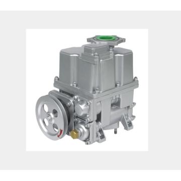 Combination Pump for Fuel Dispenser