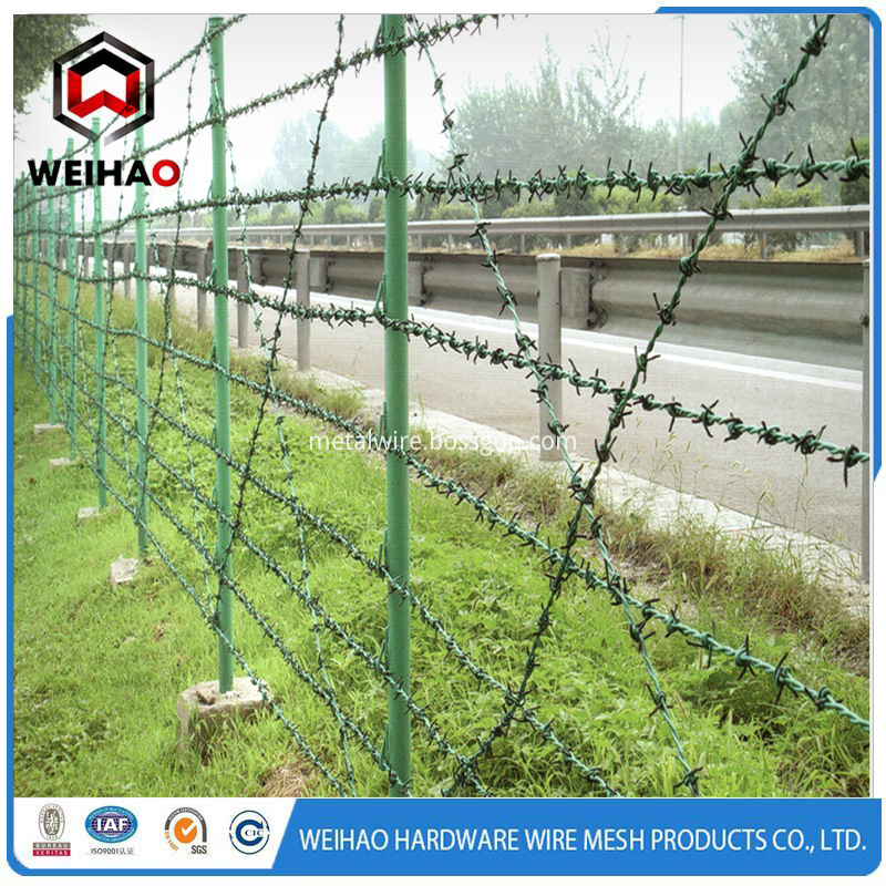 Bwg16 Barbed Wire For Salee Strand