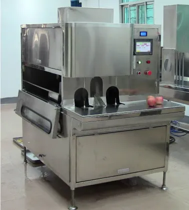 Fruit and Vegetable Peeling Machine