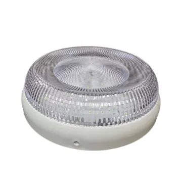 IP65 Bulk Head Light: 20W Bathroom Wall Lamp with Transparent Cover, LED Moisture-proof Lamp
