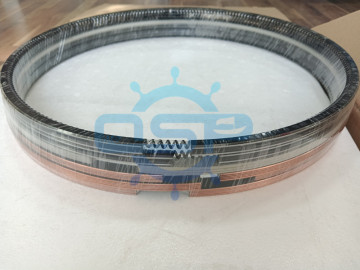 Piestick PC2-5 PC2-6 piston ring