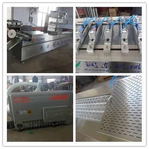DLZ 420 vacuum packing machine for food