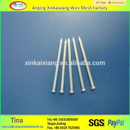 Galvanized china iron nails , common china iron nails , pure china iron nails