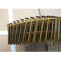 Coil Nails for Fencing Fixation Coil Nails Stained with Paint Manufactory