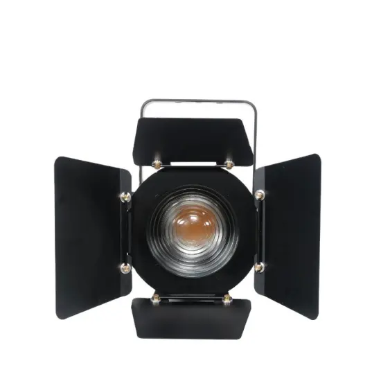 300W LED Zoom Theater Studio Light - DMX Stage Lighting RGBW Bicolor LED Fresnel Spotlight with Auto Zoom