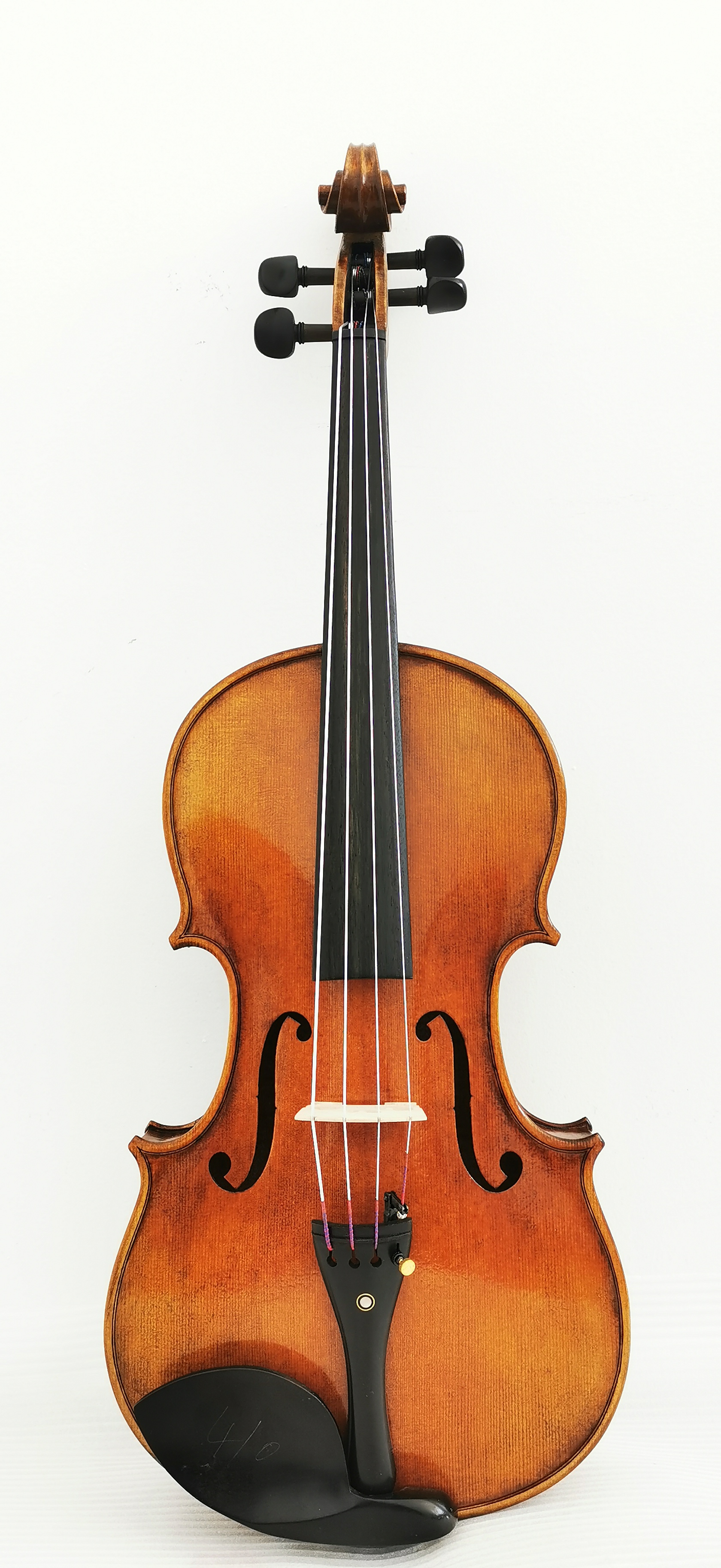 Viola8-1