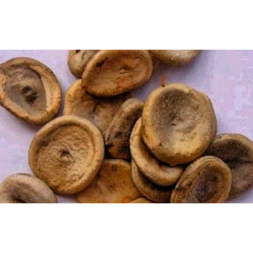 Traditional Wellness Strychnos Nux-Vomica, Strychni Semen Extract
