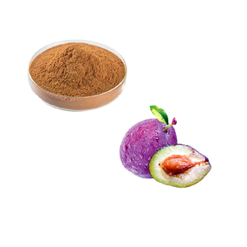 Black Plum Powder