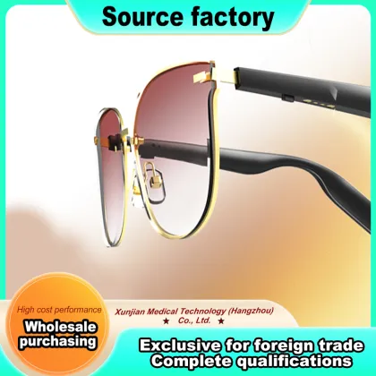 Conference Interpreting Smart Glasses