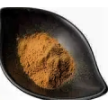 Armillariella Mellea Mushroom Extract