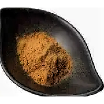 Armillariella Mellea Mushroom Extract