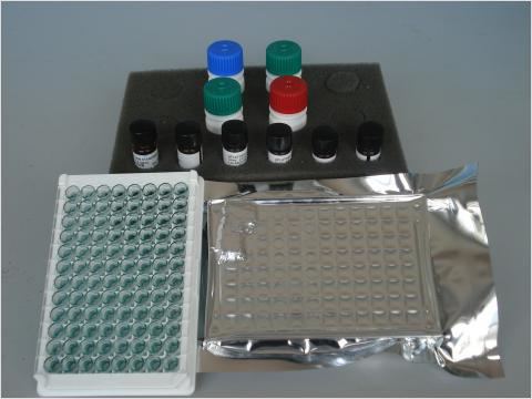 Norwalk virus fluorescence RT-PCR Elisa kit