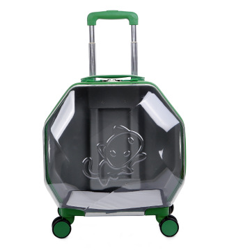 MOFESIPI Transparent Large Capacity Pet Travel Box