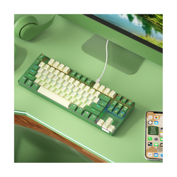 BOW Hot Sales Wired Swappable Mechanical Gaming Keyboard with Red Switch