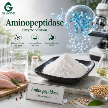 Aminopeptidase-enzym voor plantaardige eiwithydrolysaten