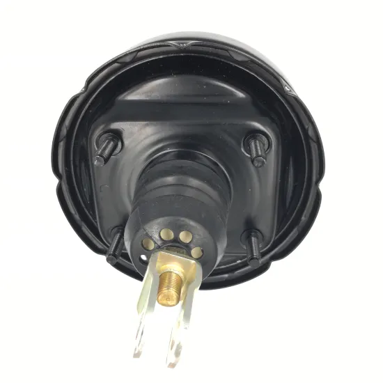 High Quality Auto Parts: Vacuum Booster and Assembly 6''38 Small Plates by Manufacturer