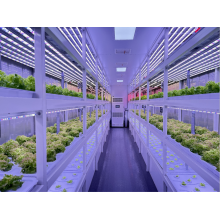 Модернизированный тип культивирования листовых овощей YD40JSY-B01-TK