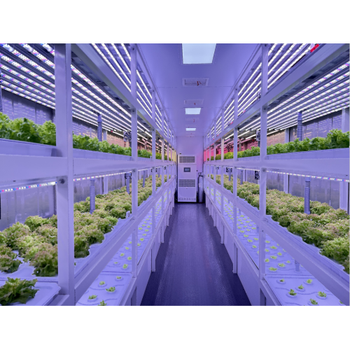 Модернизированный тип культивирования листовых овощей YD40JSY-B01-TK