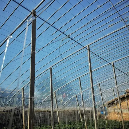 Single-Span Plastic Greenhoue Film Agricultural Plastic Film