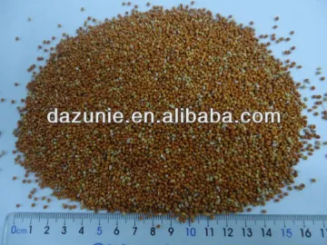 Hulled Red Millet