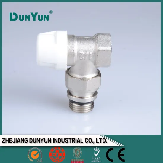 Brass angle lockable valve/male union & female with low price