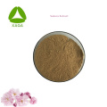 Mulberry Leaf Extract Natural Plant Extract Sakura Cherry Blossom Extract Powder Manufactory