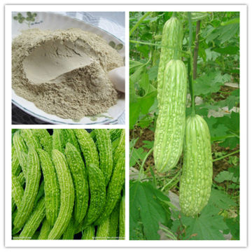 Organic Dehydration Of Balsam Pear Powder
