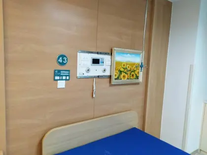 Ward Mural Bed head board System with Terminal