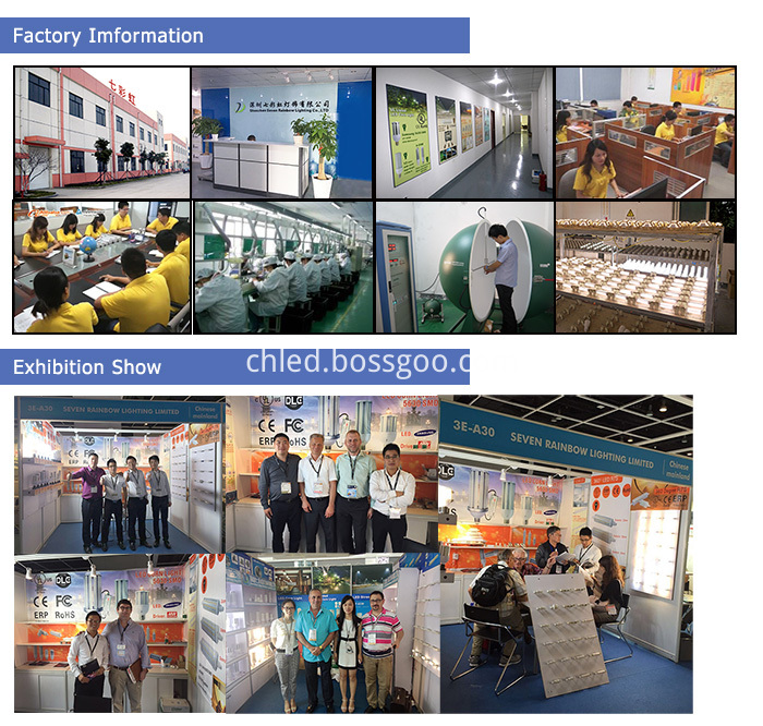LED wall pack fixture