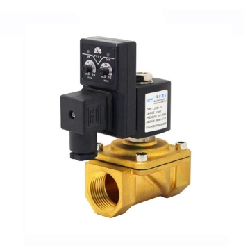 2W NC 250/25 Digital Timer Controlled Solenoid Valve for Water Applications