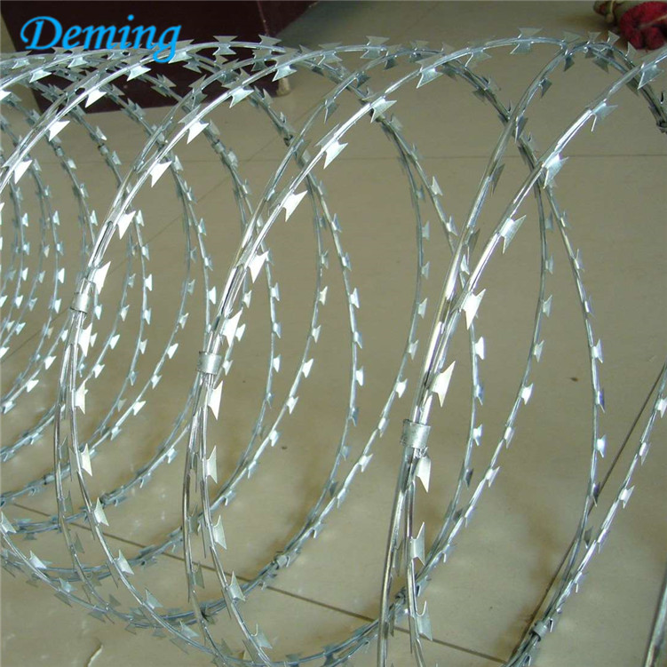 Factory Low Price Galvanized Concertina Razor Barbed Wire