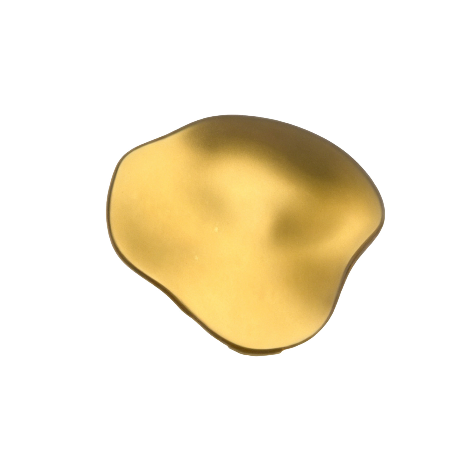 Old Gold Shoe Buckle Accessories