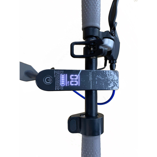 350w Powerful Motor Electric Adult Scooter