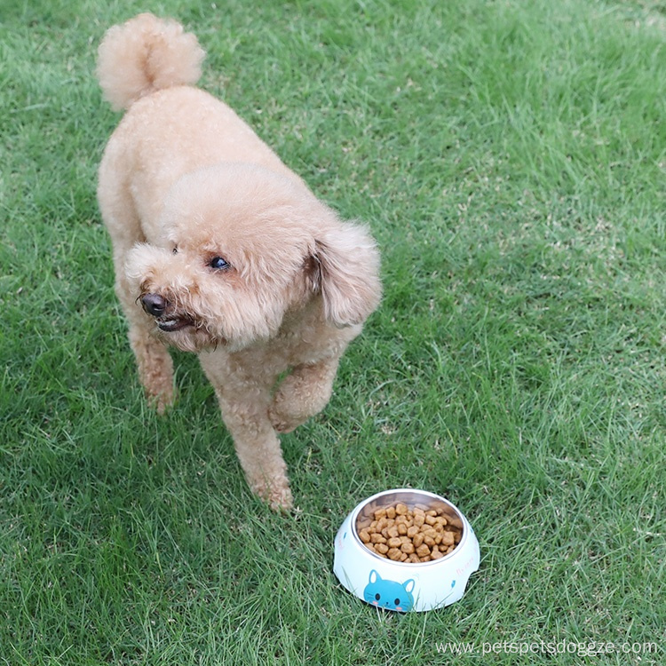 stainless steel pets roller chain