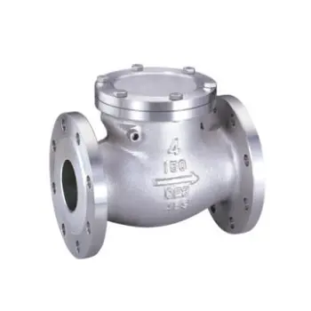 ANSI check valve
