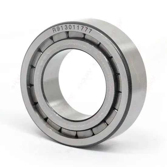 Customized Chrome Steel Cylindrical Roller Bearing 35x62x20 mm for Engineering Vehicle Reducers