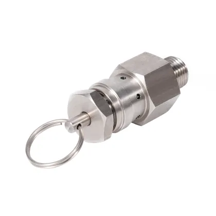 Pressure Relief One Ways Quick Exhaust Valve