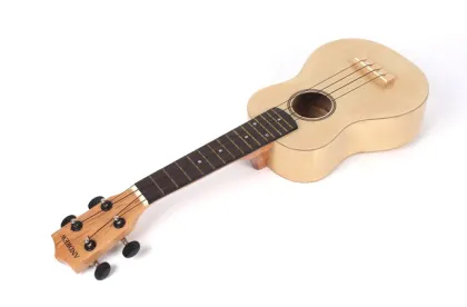 WYC 2015newstyle guitar ukulele