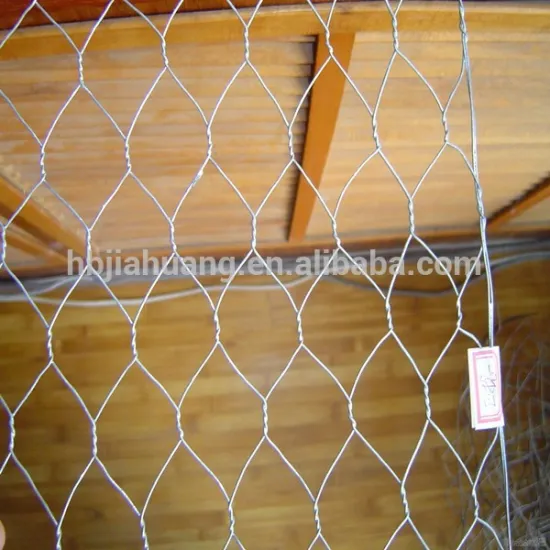 China Anping Hexagonal Mesh/Hexagonal Wire Mesh