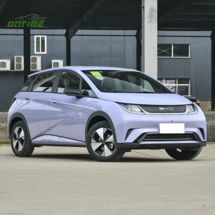 Ontime Energy-Saving and Environmentally Friendly New Energy Household Electric Vehicles