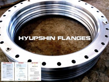 Lap Joint ANSI B16.5 CL300 Forging Flanges