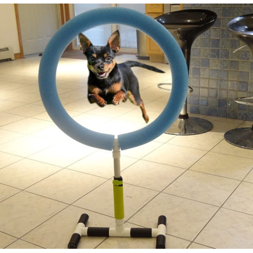 Indoor Outdoor PET-trainingsapparatuur